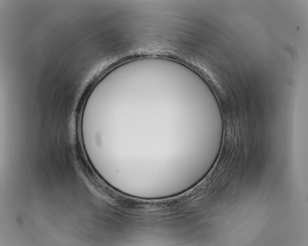 X0000111370678200907101017