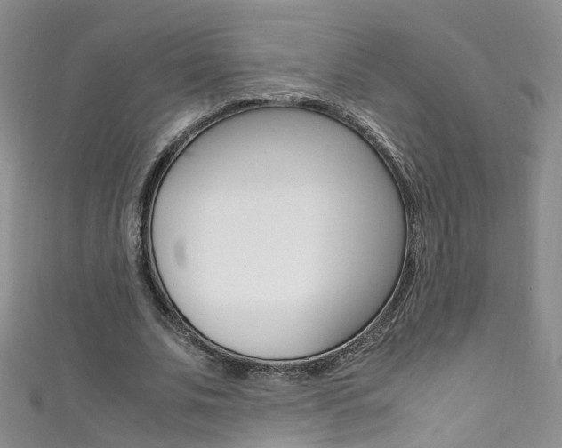 X0000111370679200907101017