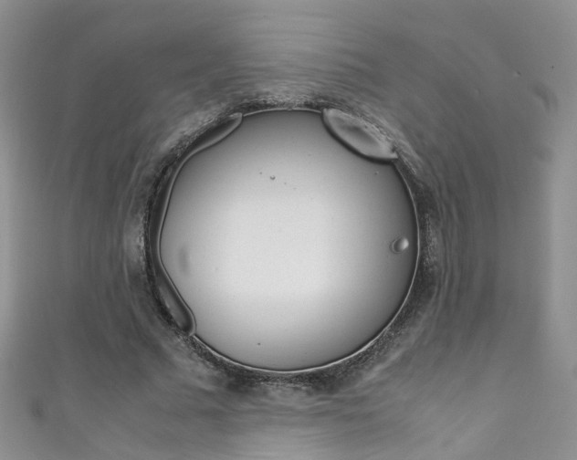 X0000111370681200907101017