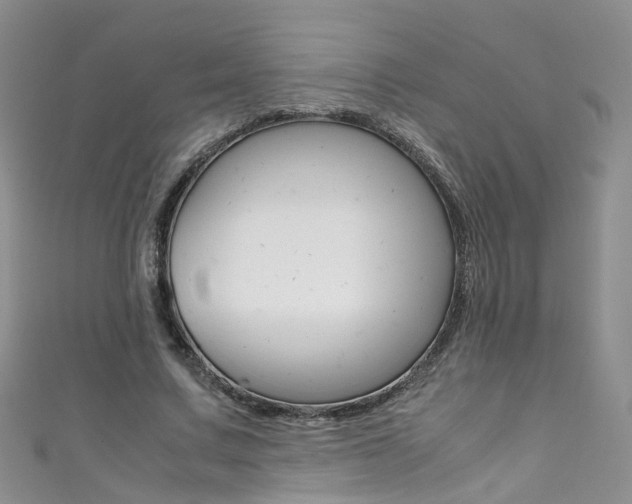 X0000111370683200907101017