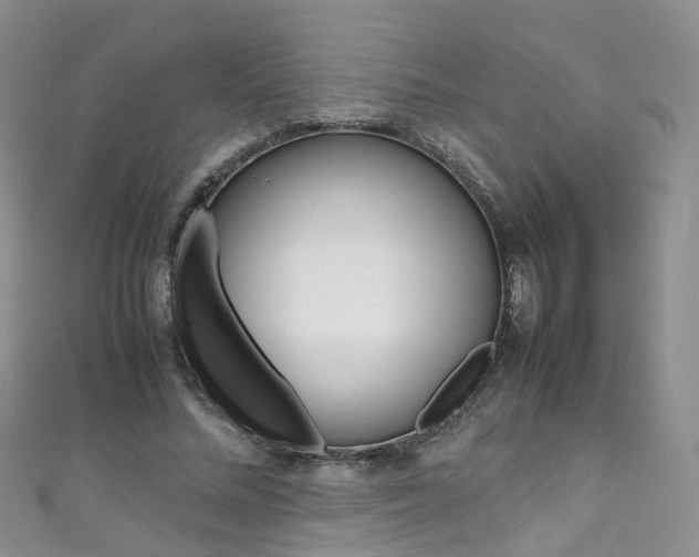 X0000111370684200907101017