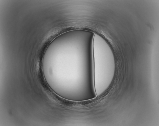 X0000111370685200907101017
