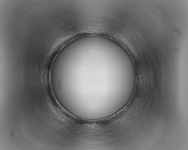 X0000111370688200907101017