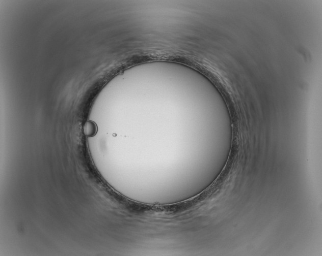 X0000111370689200907101017