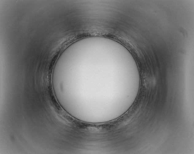 X0000111370690200907101017
