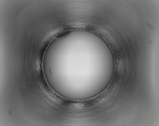 X0000111370692200907101017