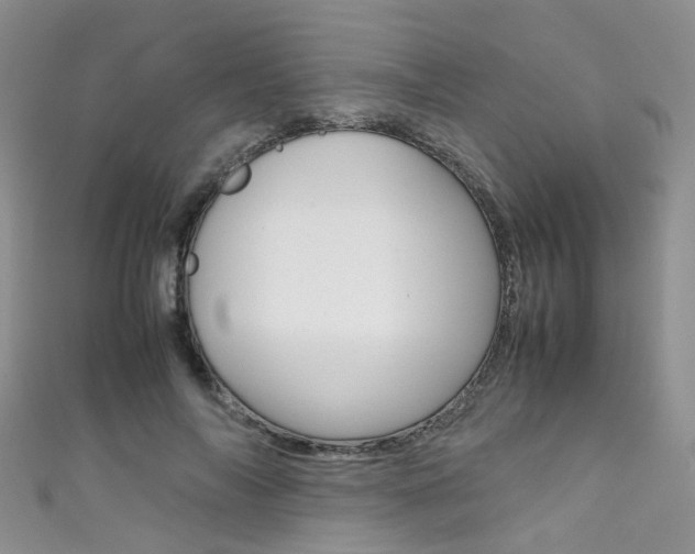 X0000111370694200907101017