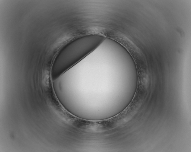 X0000111370696200907101017