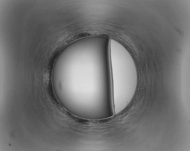 X0000111370697200907101017