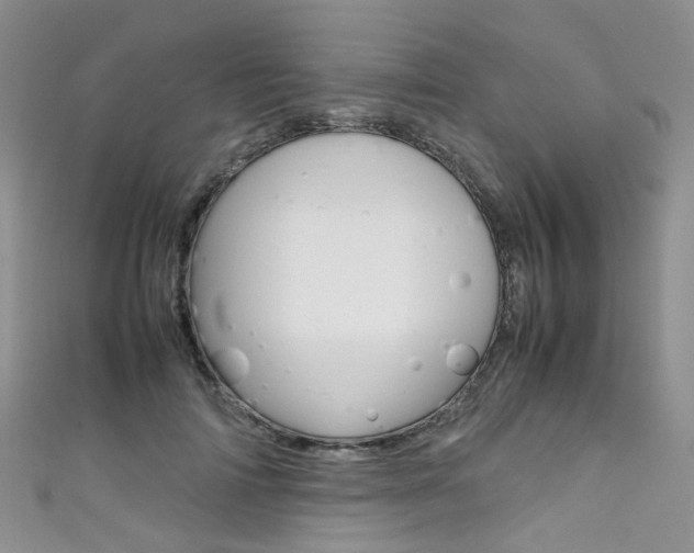 X0000111370698200907101017