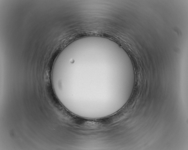 X0000111370699200907101017