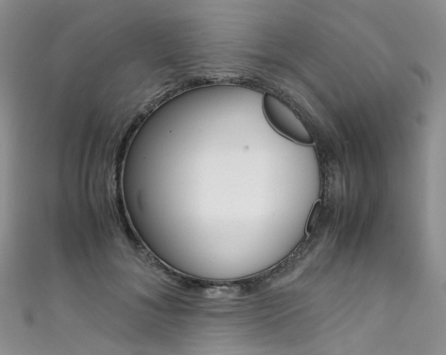 X0000111370700200907101017