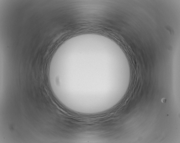 X0000111370701200907101017