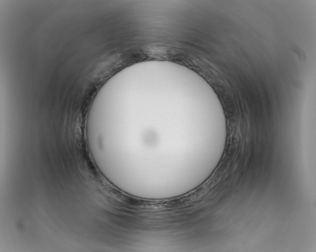 X0000111370702200907101017