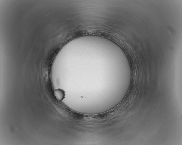 X0000111370703200907101017