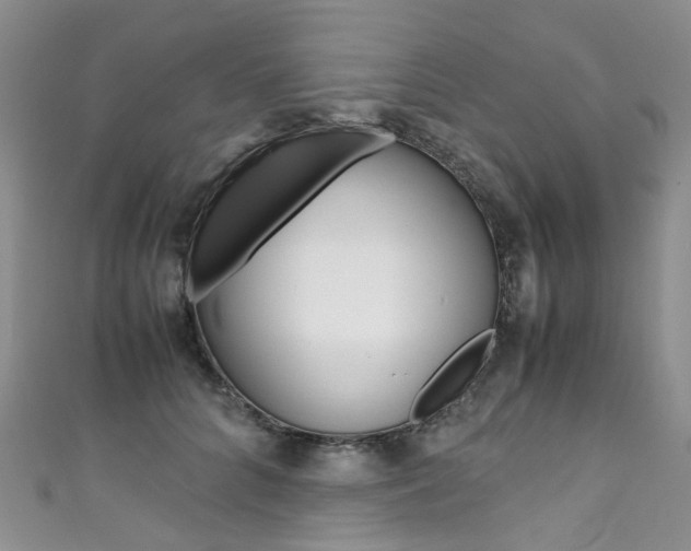 X0000111370704200907101017
