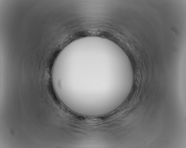 X0000111370707200907101017