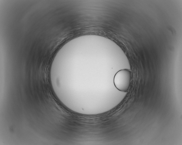 X0000111370708200907101017