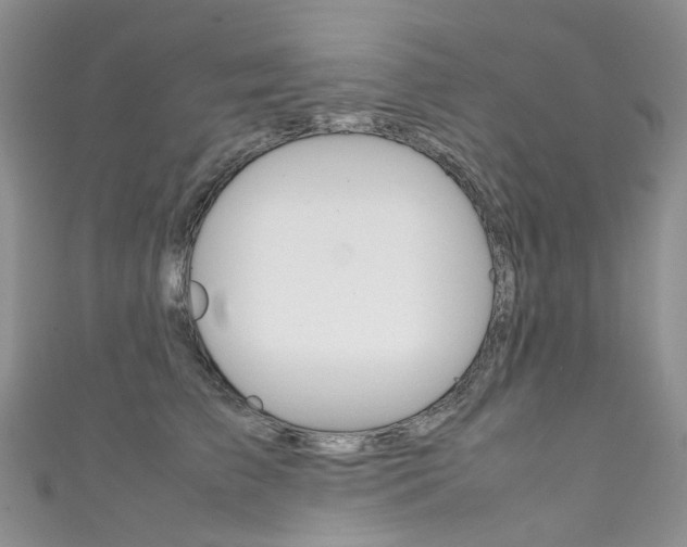 X0000111370709200907101017