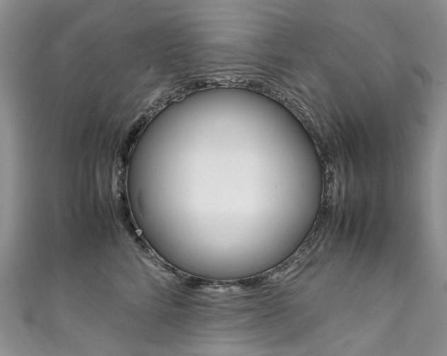 X0000111370712200907101017