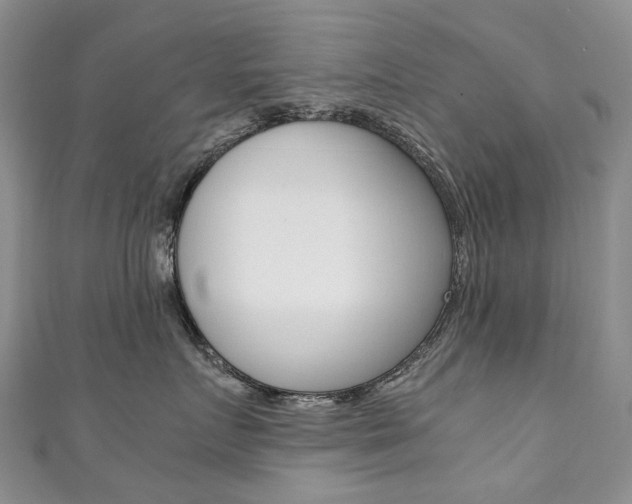 X0000111370719200907101017