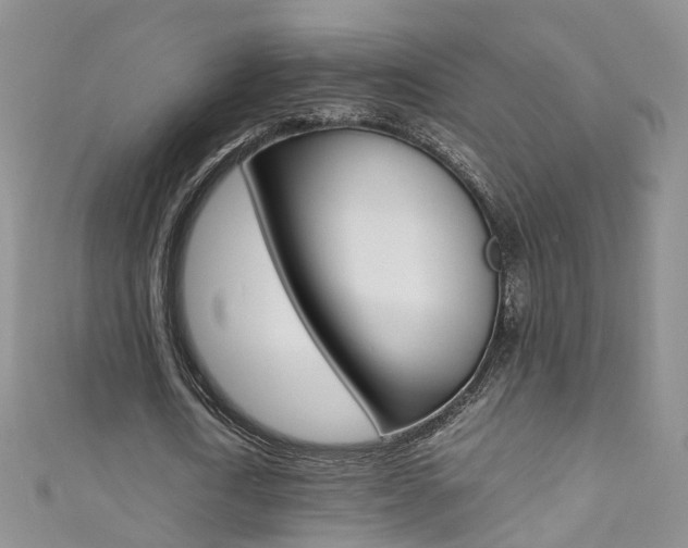 X0000111370722200907101016