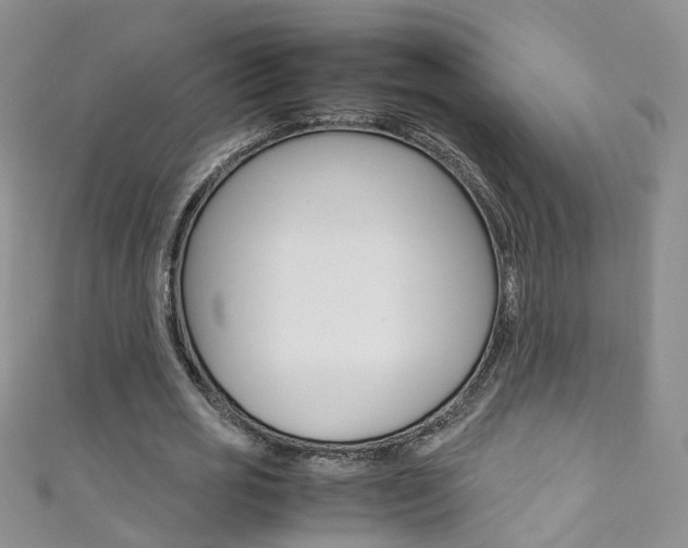 X0000111370725200907101016