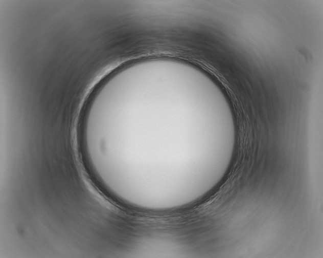 X0000111370726200907101016
