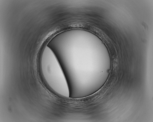 X0000111370727200907101016