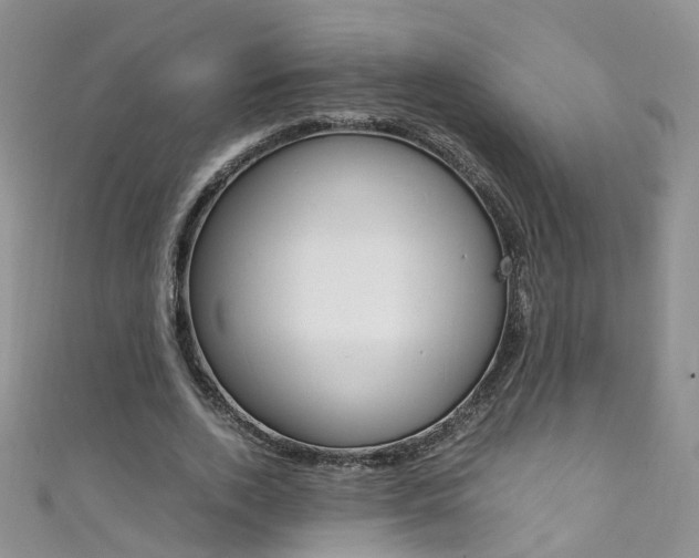 X0000111370728200907101016