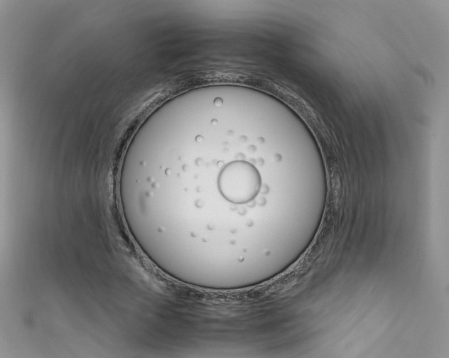 X0000111370729200907101016