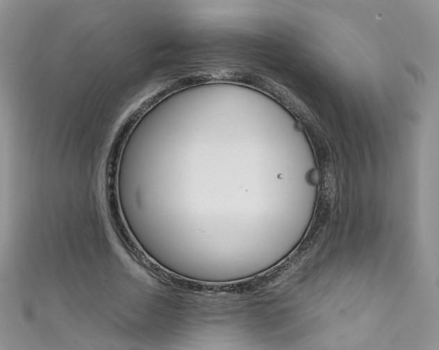 X0000111370730200907101016