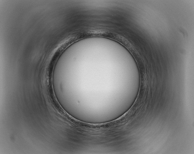X0000111370731200907101016