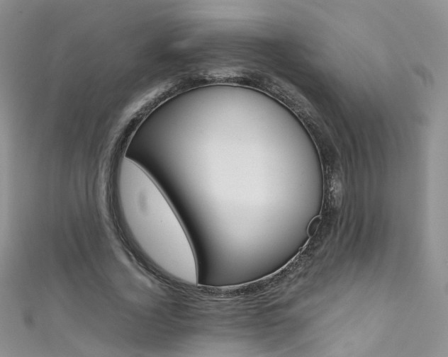 X0000111370732200907101016