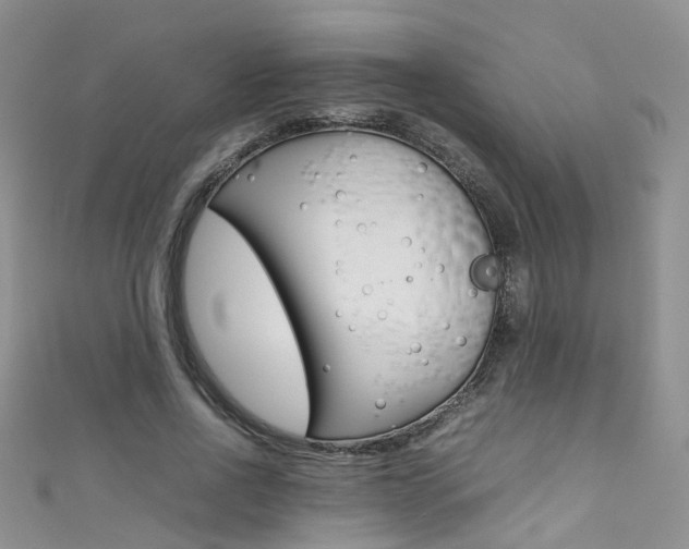 X0000111370734200907101016