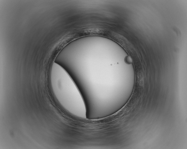 X0000111370735200907101016