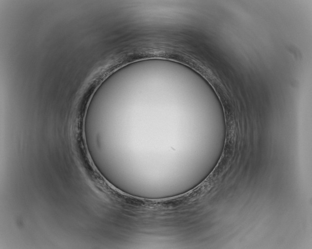 X0000111370736200907101016