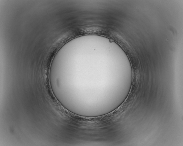 X0000111370737200907101016