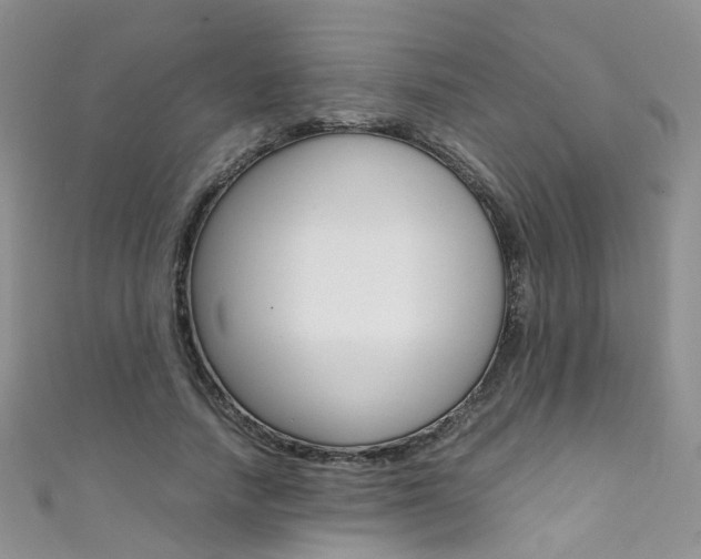 X0000111370738200907101016