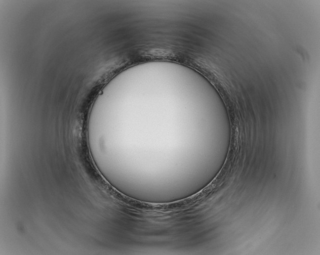 X0000111370739200907101016