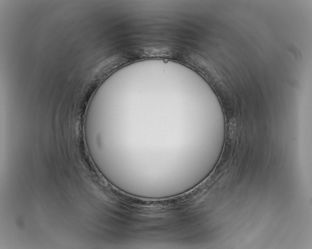 X0000111370741200907101016