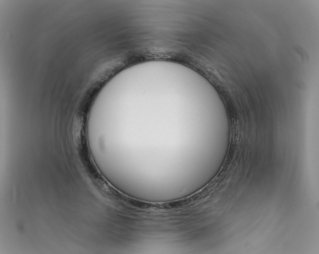 X0000111370742200907101017