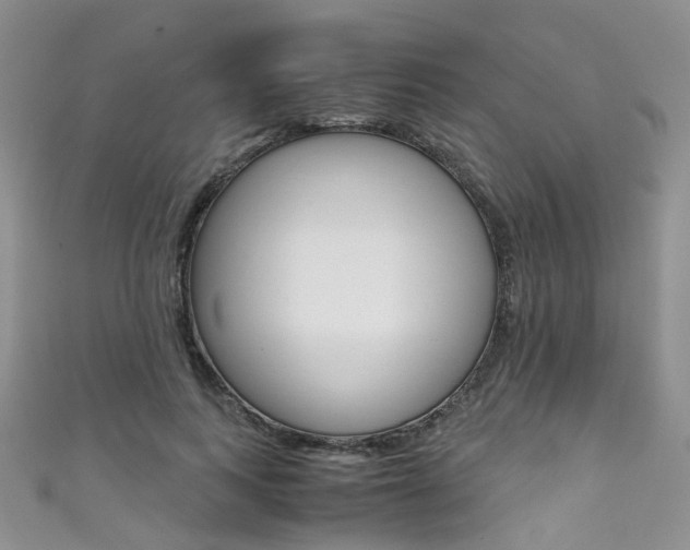 X0000111370743200907101017