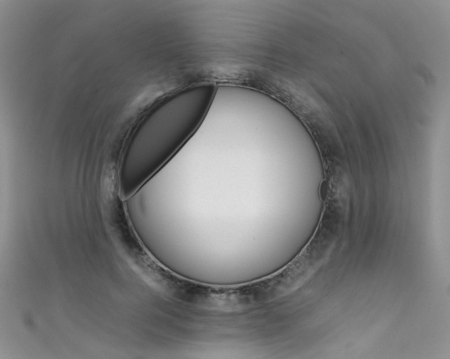 X0000111370744200907101017