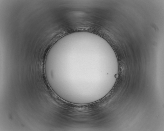 X0000111370745200907101017