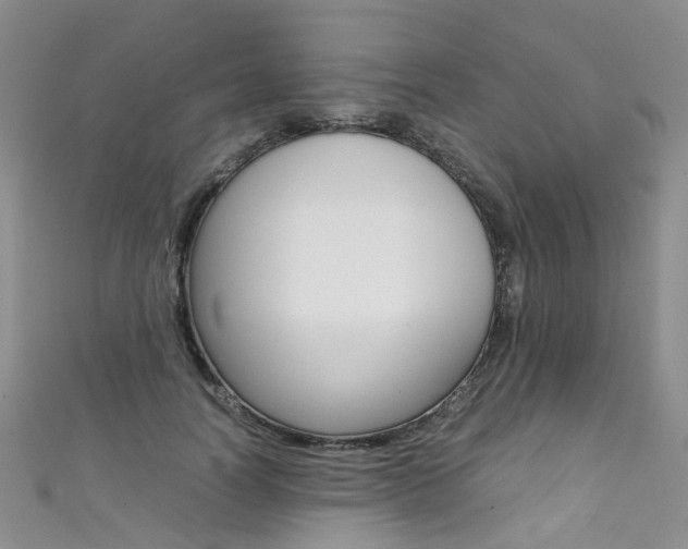 X0000111370746200907101017