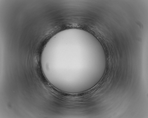X0000111370747200907101017