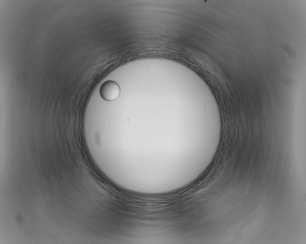 X0000111370748200907101017