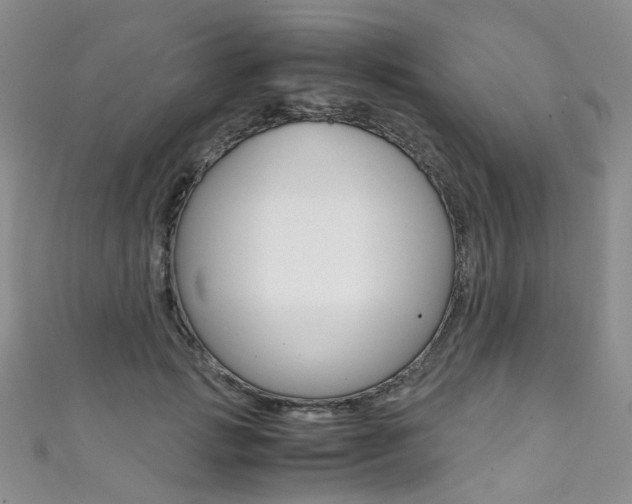 X0000111370749200907101017
