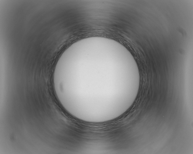 X0000111370750200907101017